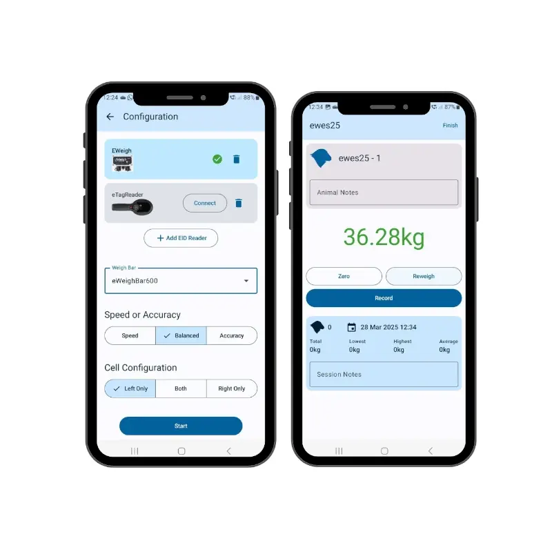 iLivestock eWeigh – Aplicatie 100% gratuita pentru cantarirea animalelor