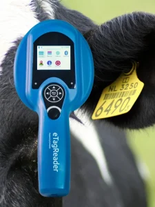 Identificare EID bovine