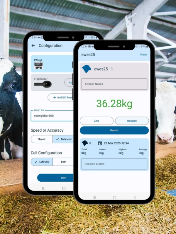 Software management fermă bovine: funcționalități esențiale în 2026
